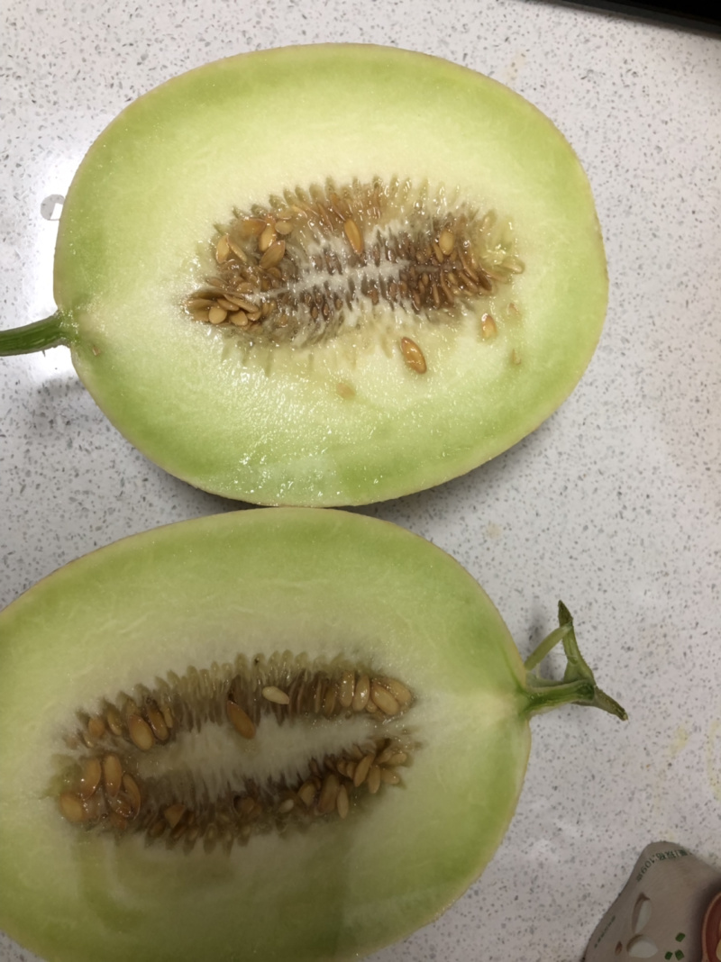银帝高甜度蜜瓜