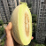 银帝高甜度蜜瓜