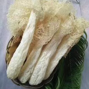 竹荪