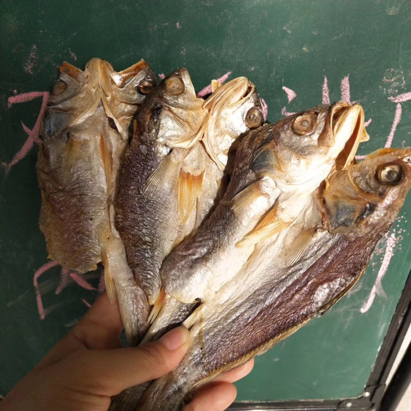 各种海产干货