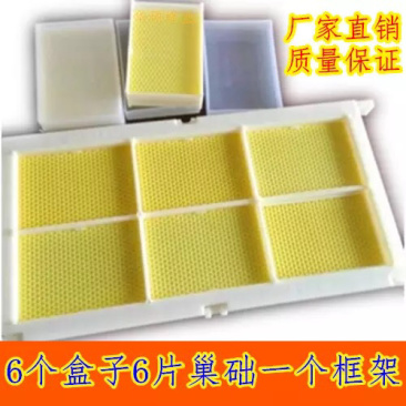 500g巢蜜盒框架塑料巢蜜格巢蜜框中蜂意蜂巢蜜全套餐蜂巢