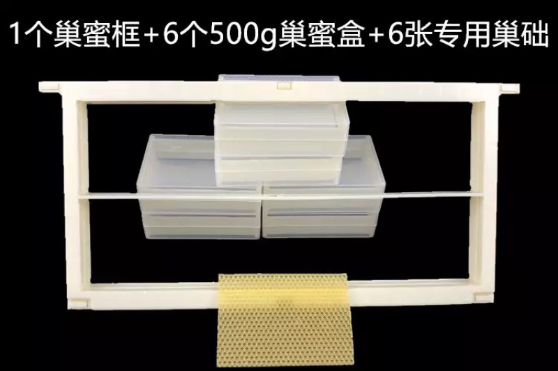 500g巢蜜盒框架塑料巢蜜格巢蜜框中蜂意蜂巢蜜全套餐蜂巢