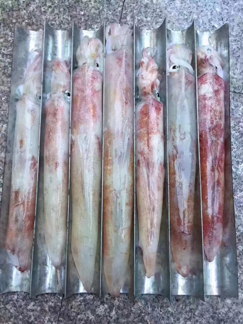 手钓鱿鱼（火箭筒），单冻