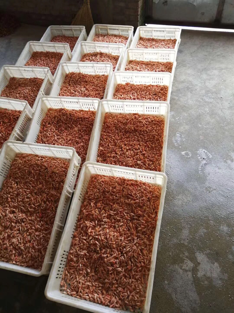 虾干淡水小虾干