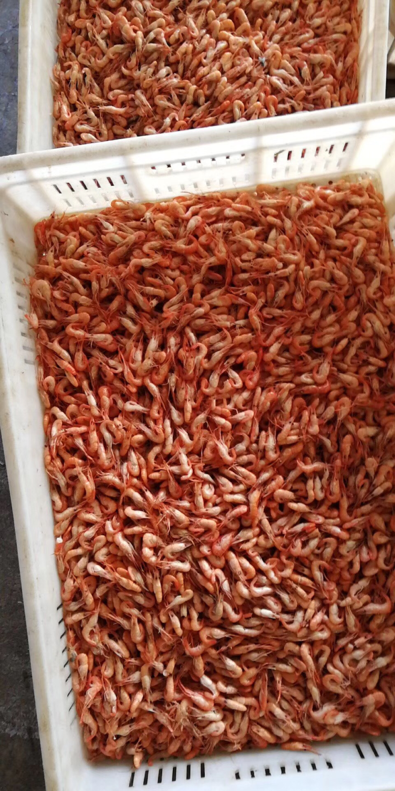 虾干淡水小虾干