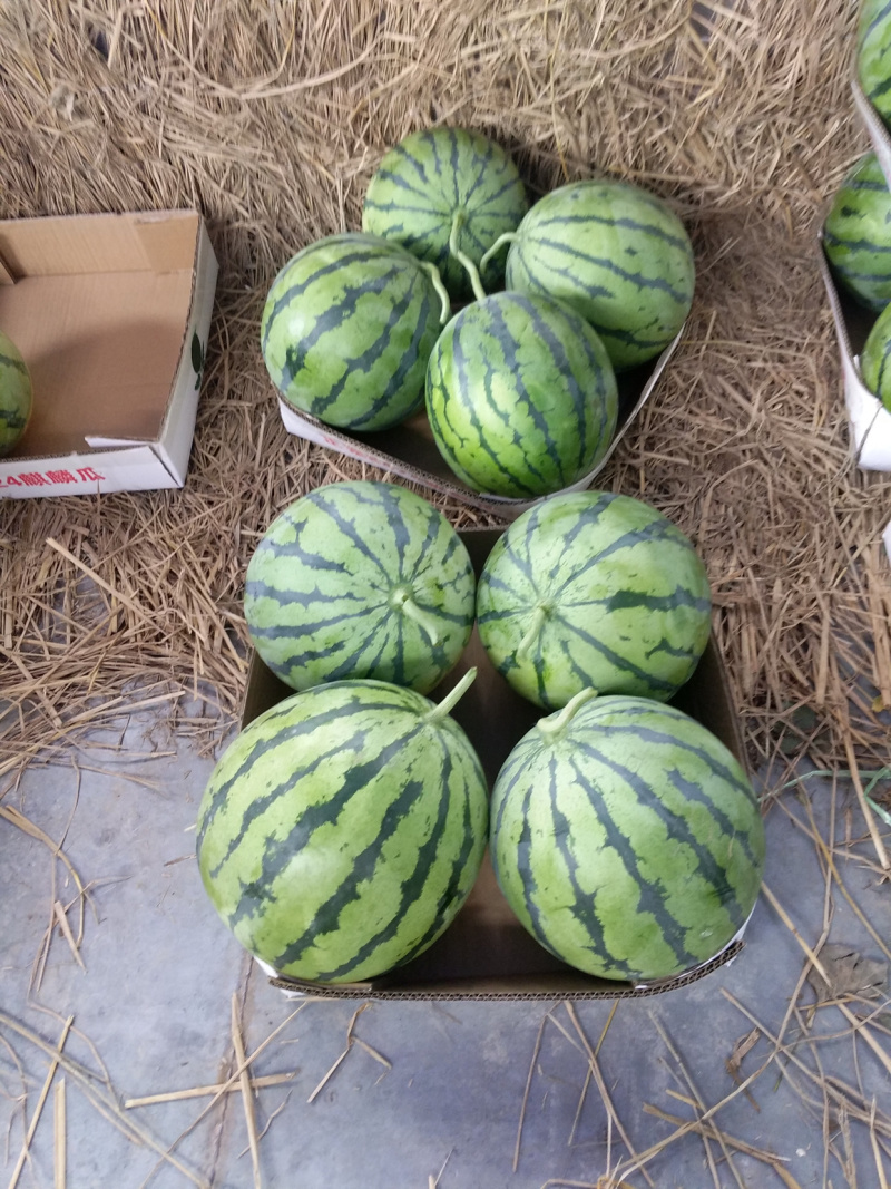 【优质商家】岳阳精品麒麟瓜，头茬，支持各种包装，保质保量，