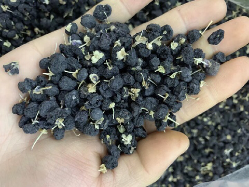 黑枸杞大中小粒