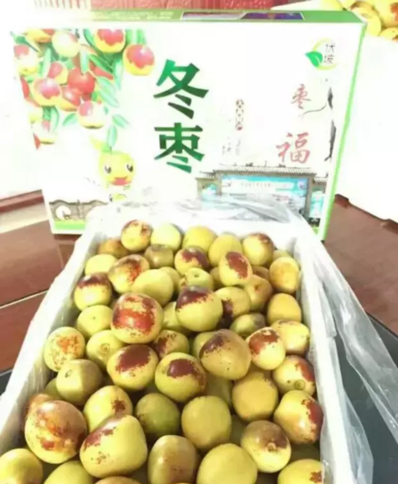 冬枣