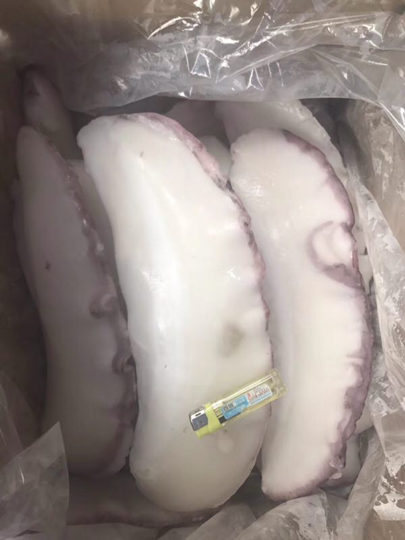 墨鱼边