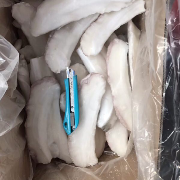 墨鱼边