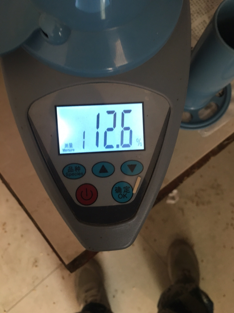 郑麦9023小麦12.5%以下