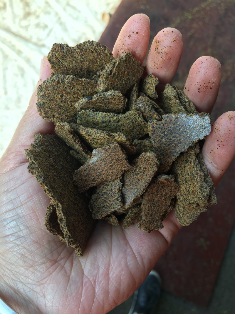 低温榨菜籽饼青黄饼有售质量很好