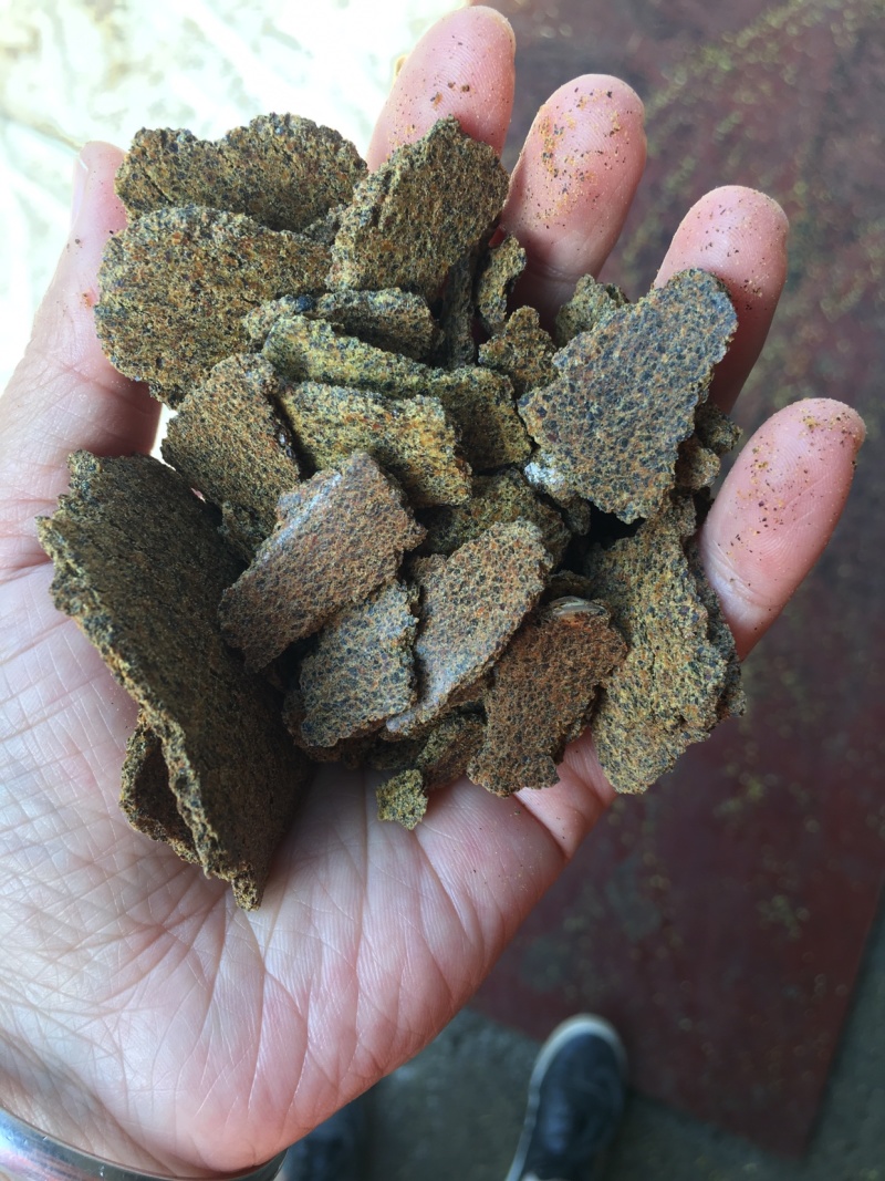 低温榨菜籽饼青黄饼有售质量很好
