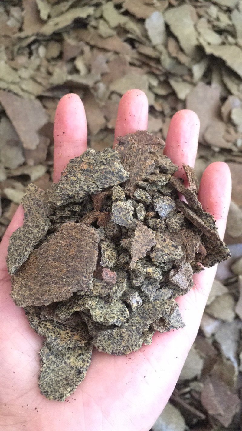 低温榨菜籽饼青黄饼有售质量很好