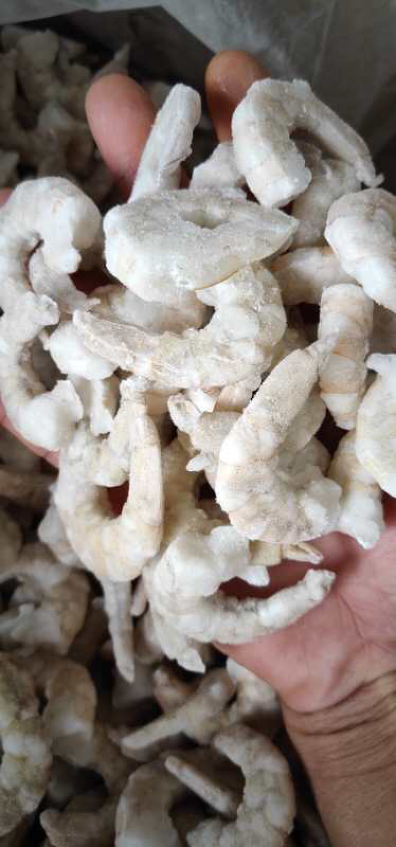 青虾仁块冻单冻残次断节都有。有需要的联系。