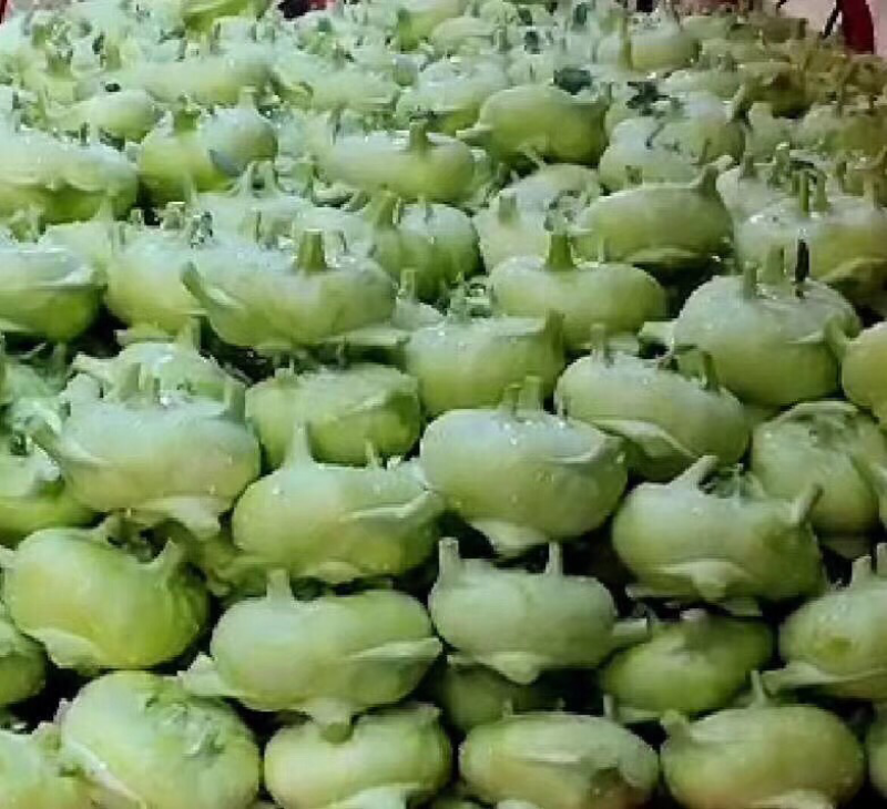 娃娃菜