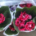 芙蓉花