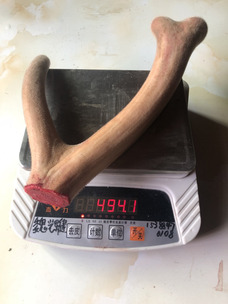 【自养自销】纯种梅花鹿鹿茸鹿茸野草饲养零添加欢迎