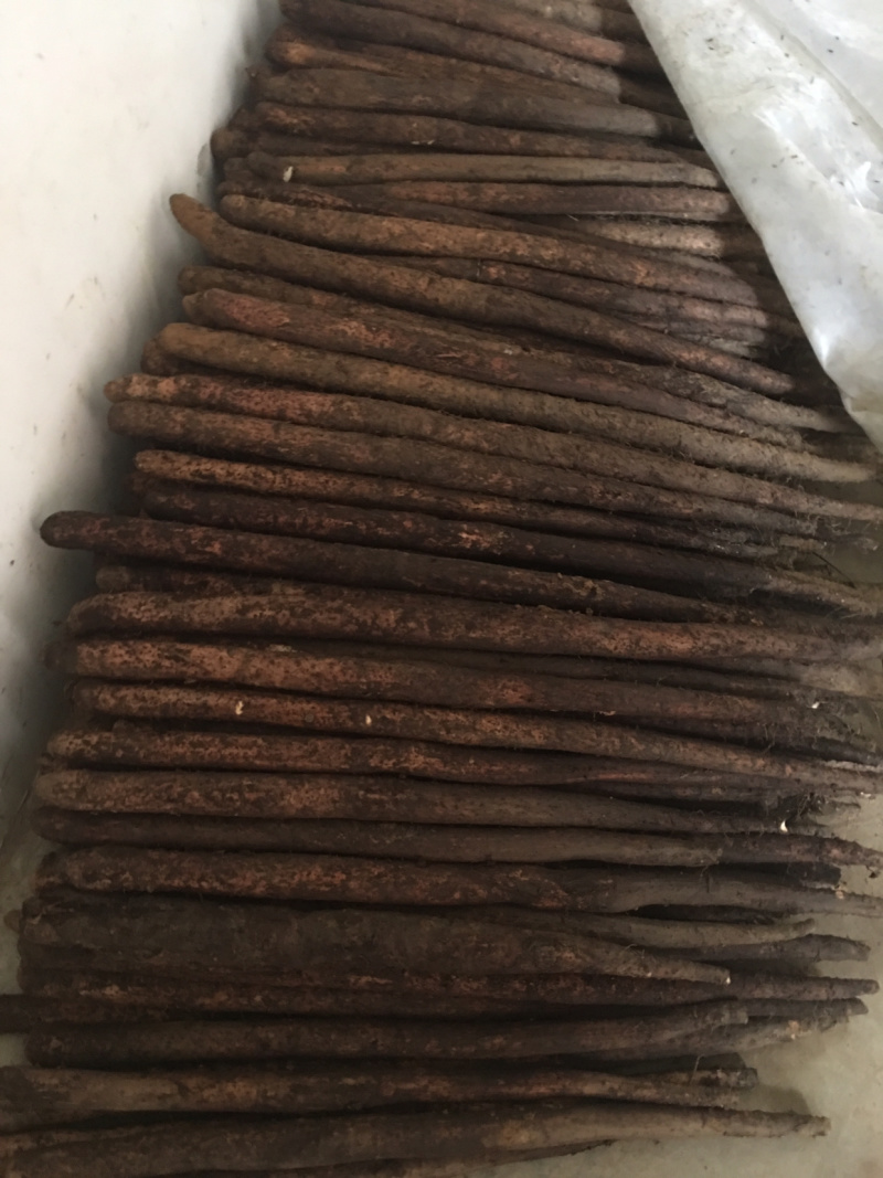 紫玉淮山药苗，降价了你要我就卖，成本价出售，欢迎合作