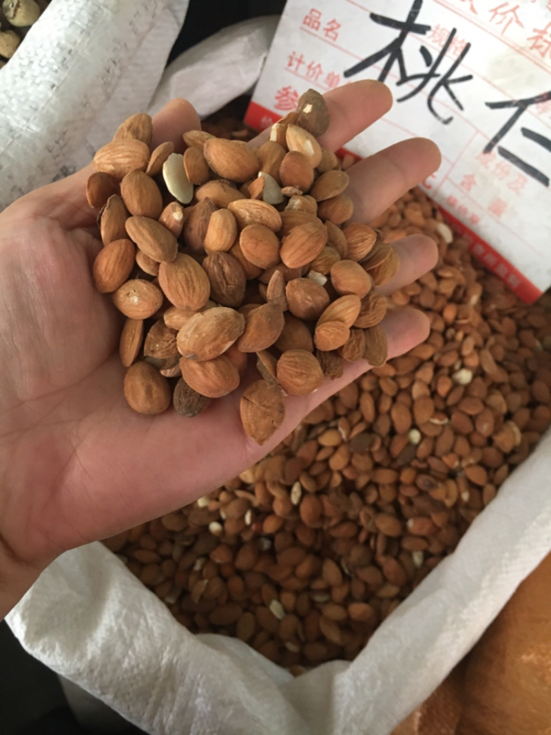 桃仁