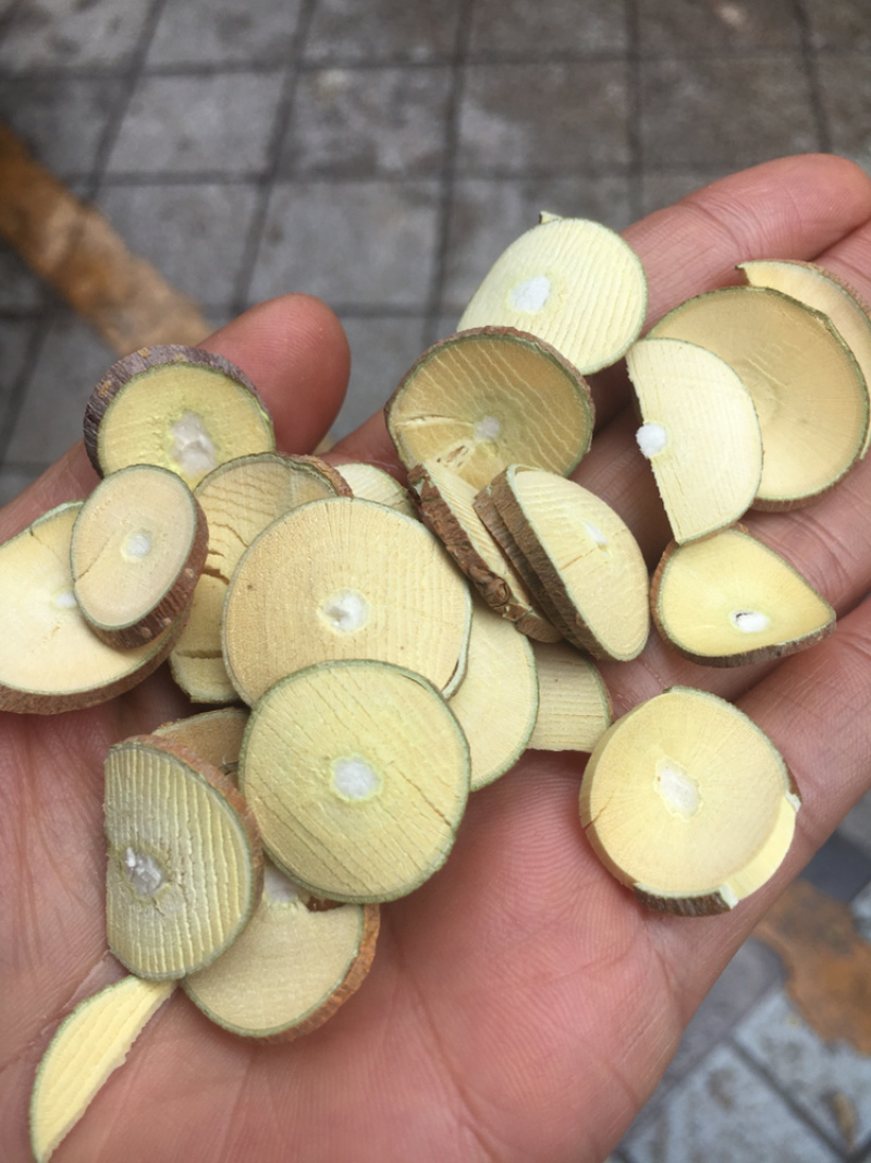 桑枝桑枝片
