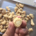 3克5克一枚软支粒头西洋参可帮忙切片磨粉