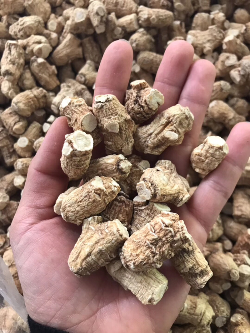 3克5克一枚软支粒头西洋参可帮忙切片磨粉