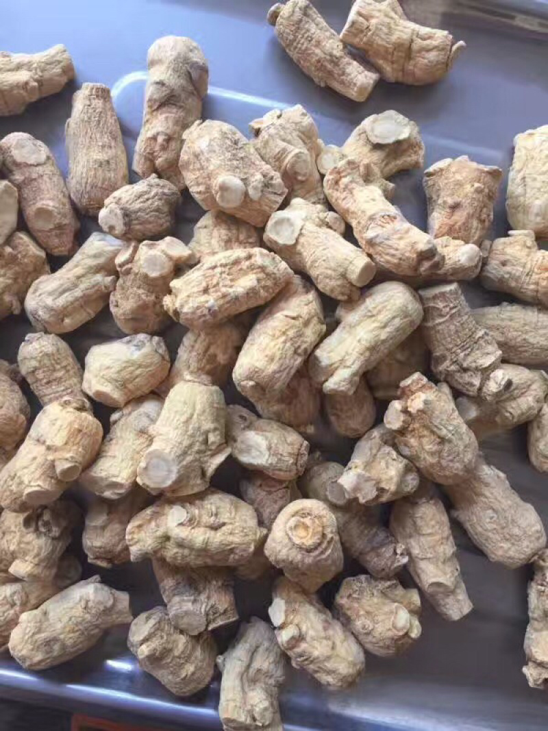 3克5克一枚软支粒头西洋参可帮忙切片磨粉