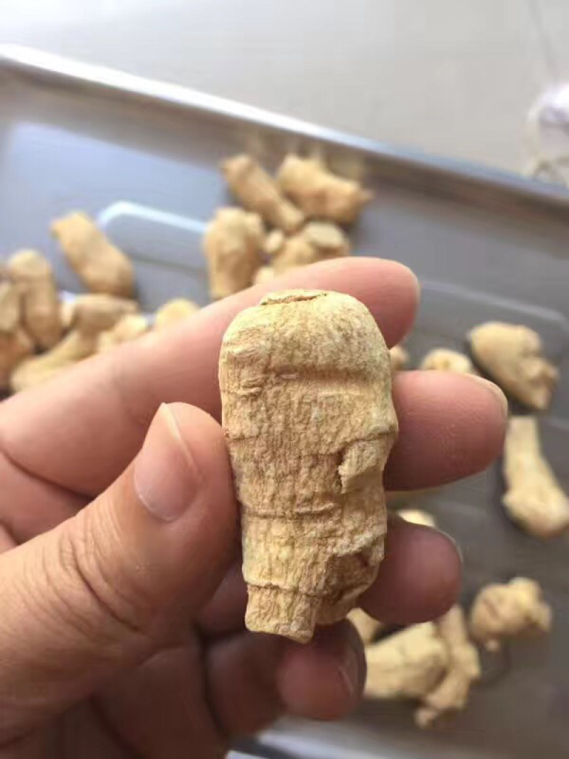 3克5克一枚软支粒头西洋参可帮忙切片磨粉