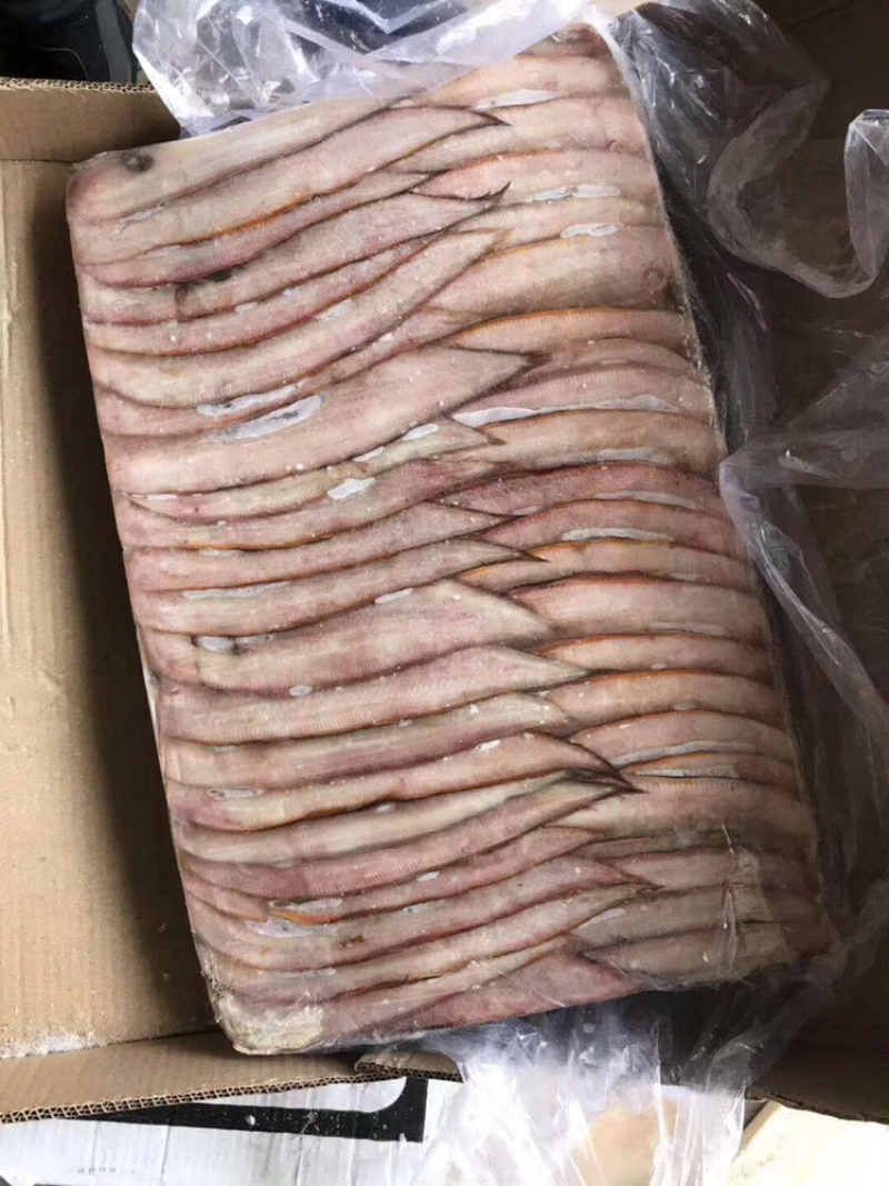 龙利鱼。舌头鱼舌塌鱼