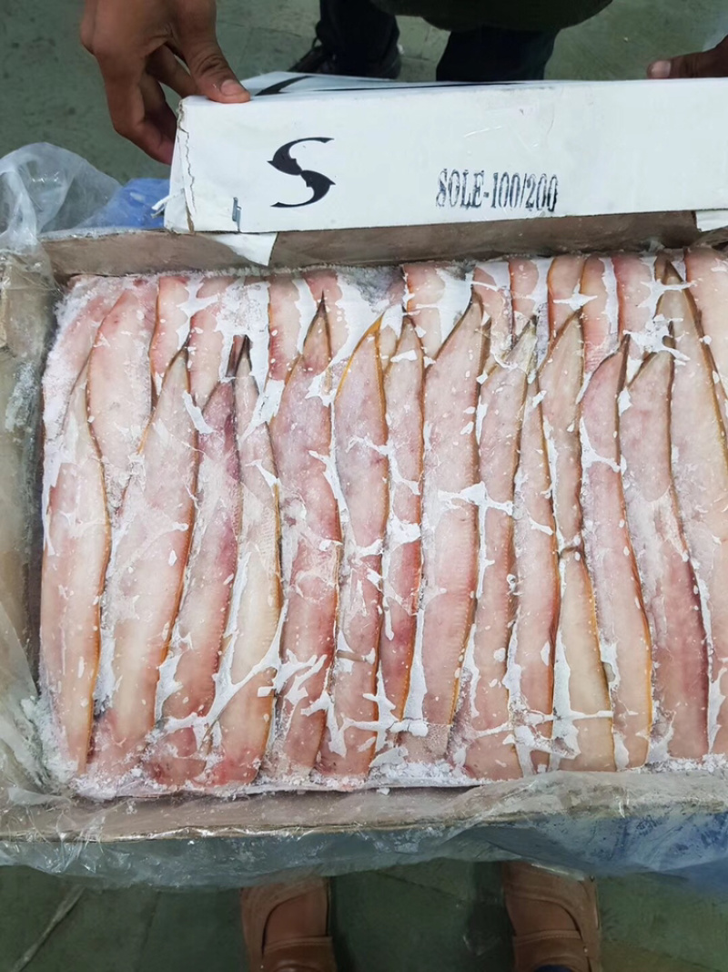 龙利鱼。舌头鱼舌塌鱼