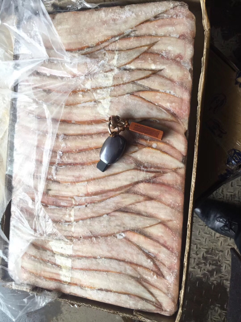 龙利鱼。舌头鱼舌塌鱼