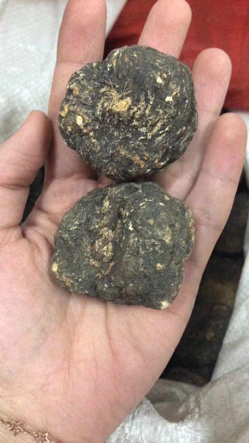 玛卡秘鲁原装进口，大黑卡够大够靓
