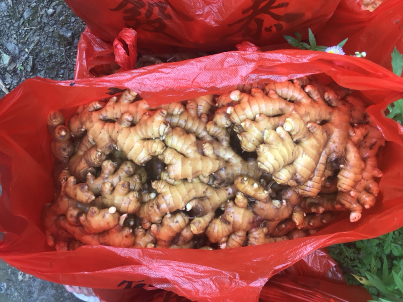 特靓水洗姜