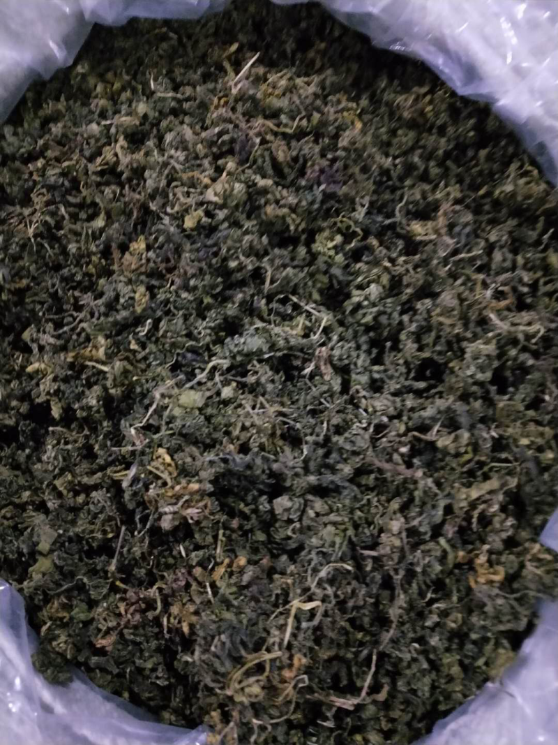 绞股蓝