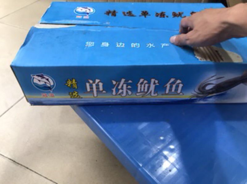 单冻鱿鱼铜