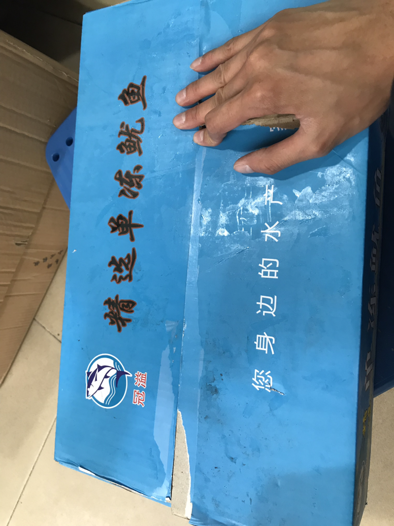 单冻鱿鱼铜
