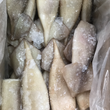 单冻鱿鱼铜