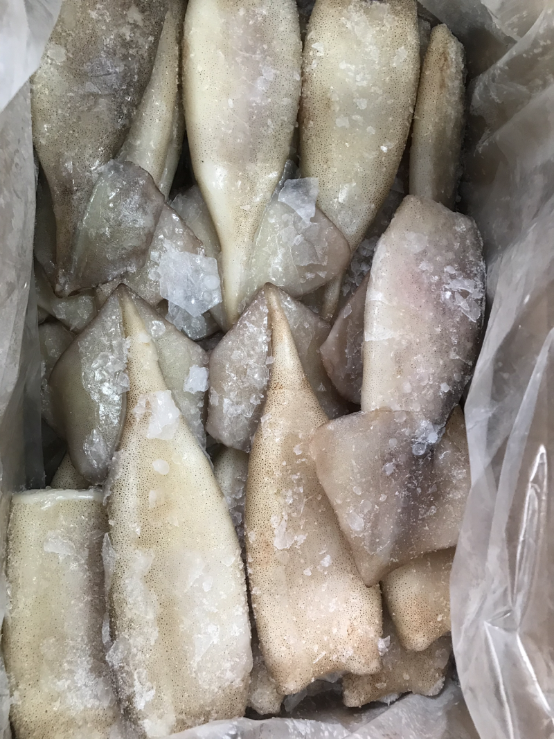 单冻鱿鱼铜