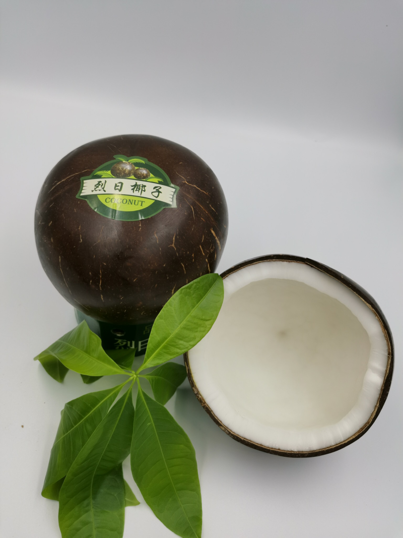 椰子越南老椰黑椰椰皇笑脸椰泡沫箱椰子