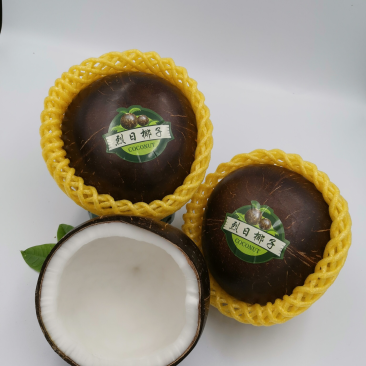 椰子越南老椰黑椰椰皇笑脸椰泡沫箱椰子