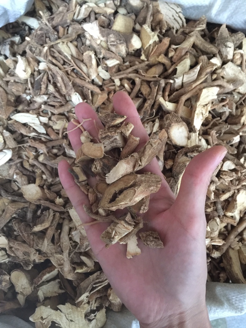黄花倒水莲无硫磺足干货过筛去粉药效好