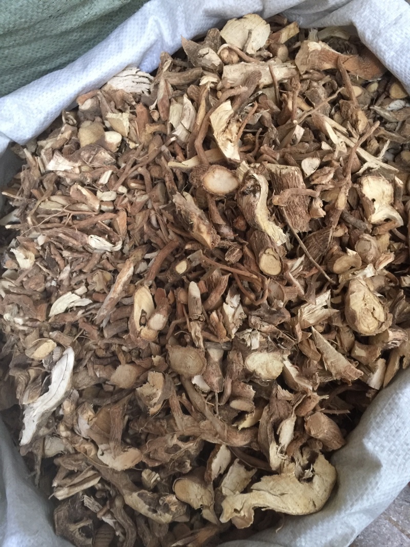 黄花倒水莲无硫磺足干货过筛去粉药效好
