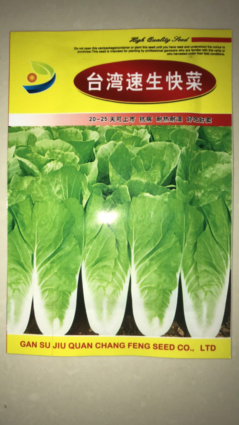 快菜台湾速生快菜种子四季种植蔬菜种子