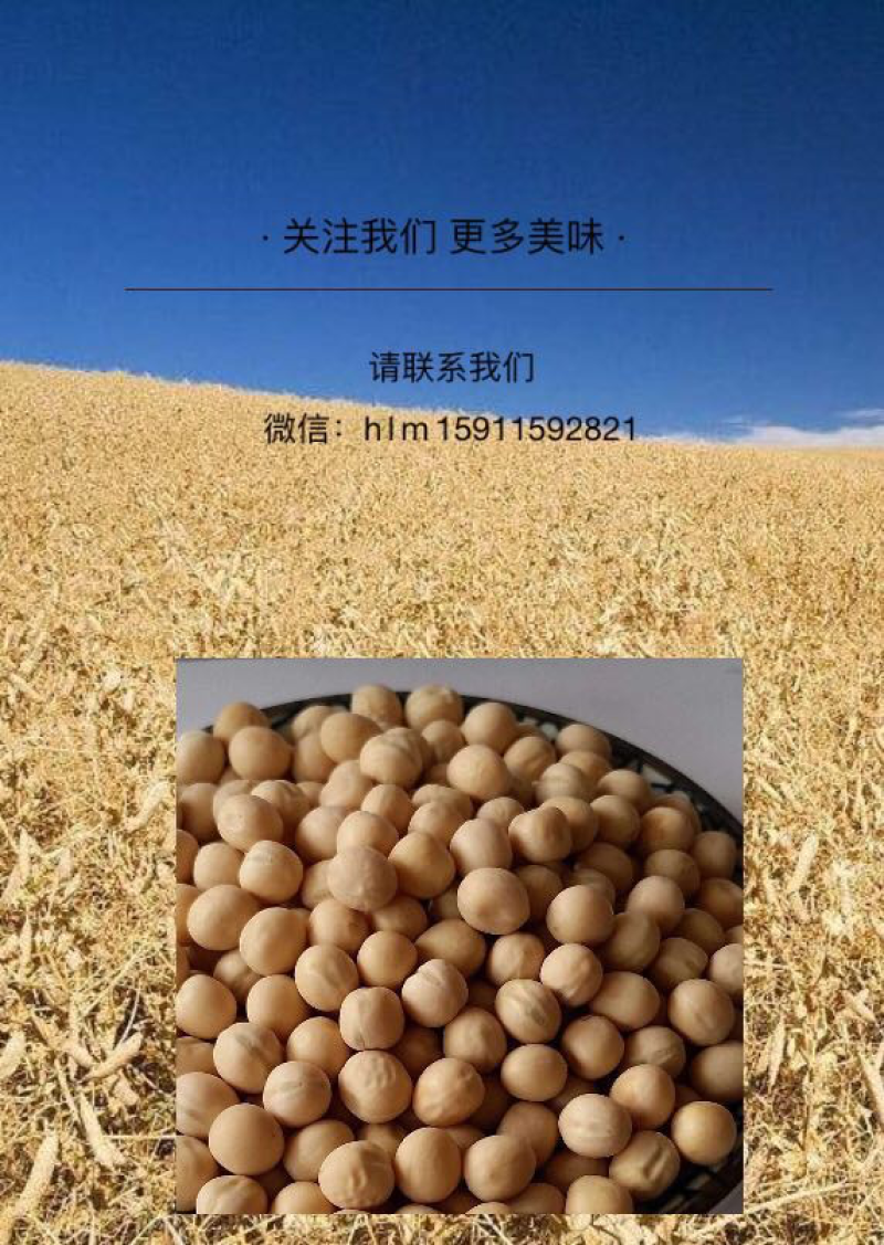 豌豆粉天然种植零添加
