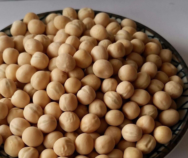 豌豆粉天然种植零添加