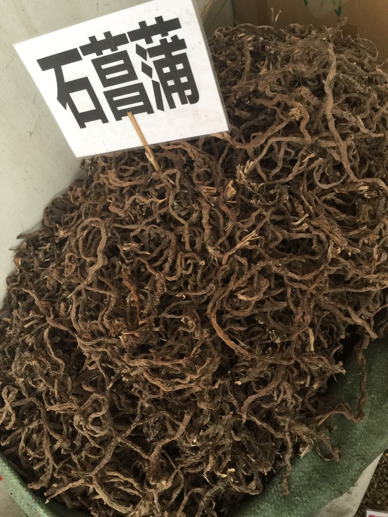 石昌蒲野生