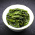 2026春茶铁观音茶叶新茶清香乌龙茶兰花香茶叶500g