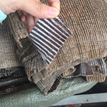杜仲皮拉丝好，大连块！