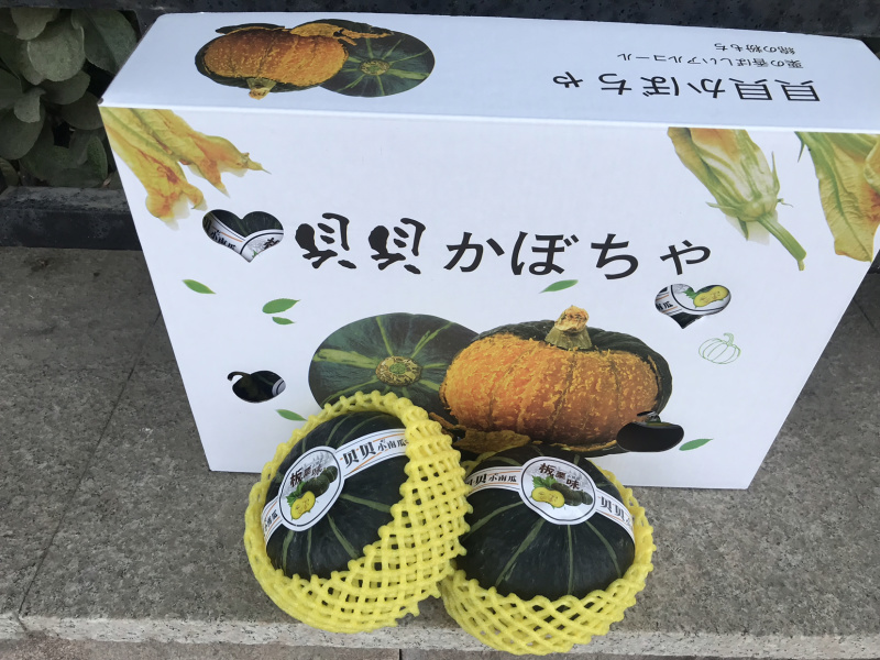 山东贝贝南瓜，全年365天持续供应，支持所有渠道！